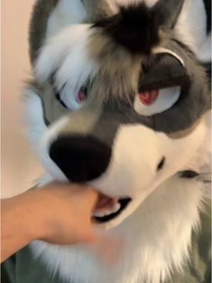 MY BOYFRIEND IS A FURRY (Fursuit unboxing) #furry