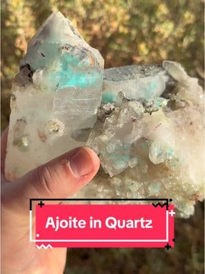 We unveiled another piece of Ajoite in Quartz today in our booth ar Mineral City in Tucson, Arizona.  Scroll back in our feed to see the story of how Paul went to Greece to collect this coveted crystal from a hidden collection.  It is currently on display in our cabinet at Room 6 in Building A at the Mineral City Show in Tucson. #mineralcity2025 #ajoite #tucsongemshow #tucsongemshow2025 #nharoafrica #crystals #crystaltok 