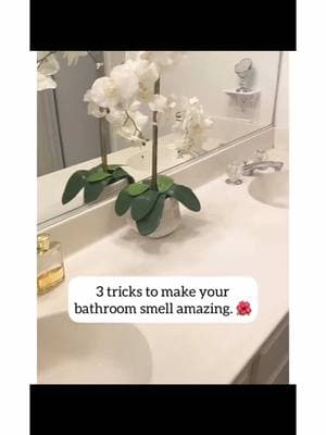 3 ways to make bathroom smell amazing 🤩  . . . . #cleaningmotivation #CleanTok #cleaning #cleanbathroom #bathroomtips #bathroominspo #bathroomhack #bathroomideas #bathroom #cleanhome #hometips #tipsandtricks #DidYouKnow #fyp