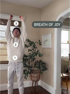 you know that feeling when stress and anxiety start creeping in? usually, the best way to handle it before it takes over is to release it the moment you feel it building up. that’s where breath of joy comes in. it combines quick, deep inhales with a powerful exhale and some fluid movement, helping shake off stagnant energy and reset your system. here’s why it works: breath of joy helps release tension and reconnects you with your body, especially when you’re feeling low or stuck. i learned this exercise from @jani.yoga.breathwork , and i absolutely love her content. it’s had such a positive impact on me, and i wanted to share it. she dives into the effects of anxiety and how breathwork can support you, so be sure to check out her page for more. 💓 🖼️ by @melissastaxfeld  #breathwork #yogainspiration #yoga #somatichealing #kundaliniyoga #anxietyrelief #StressRelief #stressmanagement #nervoussystemregulation #breathoflife 