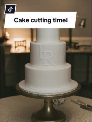 It’s time to cut the cake! #SarasotaPhotographer #SarasotaWeddingPhotographer #TampaPhotographer #TampaWeddingPhotographer #RitzCarltonWedding  