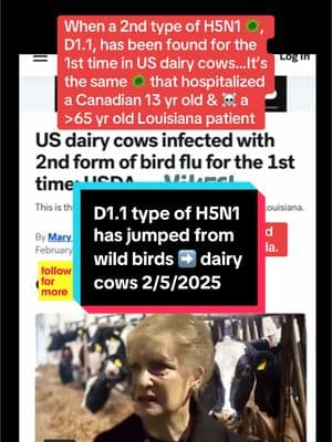 Who wants out of this timeline? Until now all dairy cows infected with H5N1 had the B3.13 type. It has led to mild infections such as conjunctivitis in dairy workers. There is now a spillover of D1.1 type, mostly found in wild birds & mammals, to dairy cows. D1.1 has been linked to serious illness & ☠️. #birdflu #LearnOnTikTok #docsoftiktok #MemeCut #Meme #publichealth #tiktokpartner 