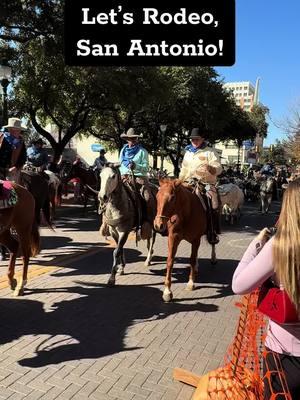 Yeah that was CLOSE 👀 When the annual Western Heritage Parade & Cattle Drive rumbled its way down Houston Street to kick off rodeo season in San Antonio, the live Longhorn stampede got a little too close for comfort… at least one Longhorn looked like he wanted to take a left turn through the pretend orange plastic fence 🐂🤘🏼🤠🐮 #cattledrive #longhorn #longhorns #longhorncattle #westernheritageparade #downtown #downtownsanantonio #sanantonio #sanantoniotx #sanantoniotexas #sanantoniocheck #sanantoniotiktok #sanantoniorodeo #letsrodeosanantonio #waylonjennings #waylon #areyoureadyforthecountry #fypシ #fyp 