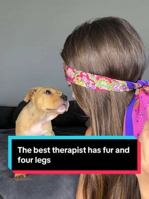 The best therapist has fur and four legs 😊 . #puppy #puppylove #dogs #puppylife #pitbull #pitbullpuppy #trend 