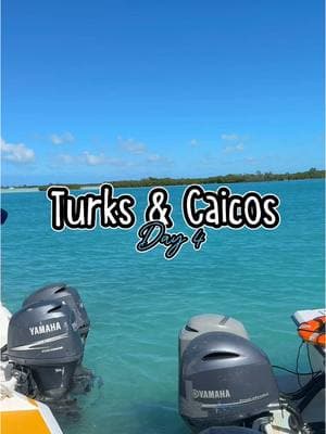 Day 4 #jamaicatiktok #fyp #turksandcaicos #traveltiktok #girlstrip #noahsarktci #noahsark 