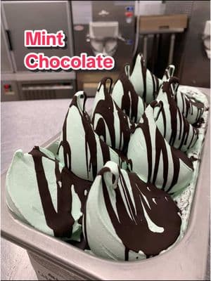 Mint Gelato with  Stracciatella #gelato #icecream #stracciatella #mint #mintchocolate #fyp #gelatouniversity 