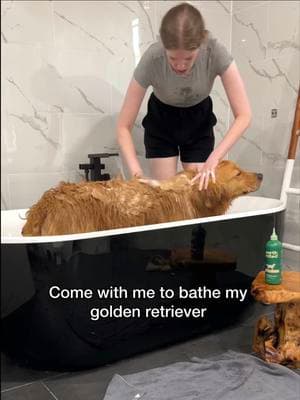 “You’d think I’m torturing her” 🛁 @earthrated  . . . #bathtime #goldenretriever #dogsofinstagram #doggrooming #doggroominglife #dogbath #cleandog #dogmom #comewithme 