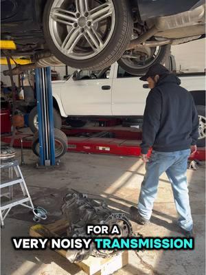 Wait For It…Long Islands #1#1ealer alternative for European and All Makes & Models Repair, Service, Performance. Come and see us, we will beat any competitors pricing and offer a better warranty!  ☎️631.775.6634 📧sales@elitemotorsport.net 💻www.elitemotorsport.net #e#elitemotorsportsw#wearethedealeralternativen#nyl#longislandt#tristateh#horsepowerb#boostl#likef#follow#n#newyorke#europeanautorepairg#goaprd#dinane#eliteeuroautorepaira#autorepairs#servicep#performancer#repairf#farmingdalec#completeautorepair#e#eliteautomotivee#elitet#towingb#bodyshope#eliteautobodye#elitecollisionl#lindenhurstm#maintenancea#autoservice#f#fypf#foryoupagec#carsoftiktokf#foryouv#viralvideosnd #t#tiktokchallenget#trendingt#tiktokcarsc#cartokxcyzba 