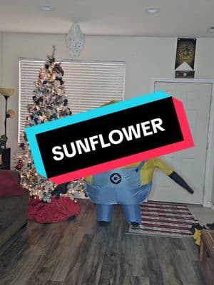 #sunflower #sunflowers #sunflowerseeds #postmalone #postmaloneconcert #postmalonefans #Illumination #lunation #moonation  #oneineaminionnation #Entertainment #UniversalPictures #fyp #parati #foryou #foryoupage #fypシ #fy #funny #celebrity #celebridad #famous #famoso #foryourpage #fypage #foru #tiktok #viral #minions #minion #despicableme #minionstyle #minionslove #minionlove #minionsparty #minionsmovie #minionlover #minionstuff #minionlovers #minionstory #disney #iloveminions #minionsworld  #banana #bananas #platano #platanos #loveminions #minionslover #minionstuart #minionkevin #minionbob #utah #arizona #chicago #mexico #tiktok #miniontiktok #minionssquad💫 #Bob #Stuart #kevin #minionstuart #stuartminion #Bobminion #minionbob #minionkevin #kevinminion #minionsquad #baile #baila #dance #dancing #happy #feliz #comedy #comedia #foryou #parati #fyp #fypシ #fypシ゚viral #fypfypfyp #tiktok #tiktoker #latino #mexicano #mexico🇲🇽 #mexicocheck #mexicotiktok #mexicoo #mexico #ut #utah #slc #saltlakecity #arizona #az #chicago #riorico #nogales #520  #fun #diversion #music #musica #musically #musicalmindreader #musician #musicvideo #musictok #musicas  #laughs #risas #reír #disfrutar #enjoy #j #a #l #goodvibes #buenasvibras #nonegativity #sonrie #smile #blessed #bendecido #contento #happy #baby #babies #Child #children #kid #kids #adult #adults #Senior #seniors #olderpeople #everyone #foreveryone #forall #bebe #bebes #niño #niños #niña #niñas #chamaco #chamacos #chamaca #chamacas #adolescente #adolescentes #escuincle #eskuinkle #escuincles #eskuinkles #orazon #share #comparte #save #guardalo #celebrate #celebra #nonegativity #nonegatividad #justpositivity #solopositivo #Luna #trend #trending #trendy #trendingsong #trends #trendiing #trendingsound #trendingtiktok #trendingnow #2025 #february2025 #febrero2025 #febrero #february @TikTok @Illumination’s Minions @Post Malone 