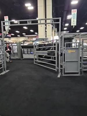 NCBA Convention  Booth 3033 #eatbeef #silencerchutes #turretgate #ranching #vetmed #feedlot #cattle #cattleranch #ranchlife #cattlefarm #cowboylife #calves #bulls #bovine #livestock #stockyards #rancher #farmlife #branding #rodeolife #ranchtok #farmtok #cattletok #calftok #cowcalf #backgroundingcattle #feedlotlife #feedlotcowboy #brandingseason #bullsale #taggingcalves #taggingcattle #heifercalf #showsteer #cattleshow #cowboyup #balebed #workingranch #ranchin #stockshowlife #bisonranch #buckingbulls #buckingbull #buckinghorses #buckinghorse #roping #ropingcattle #ropinghorse #cattlewomen #cattlemen #cattleman #ranchpony #cattleauction #salebarn #processingcattle #cattlebreeding #dairyfarmer #kansasbeef #safetyfirst #silencerchute #penrider #feedingcattle #vettok #vetschool #vetschoollife #cattlemenscongress #nwss #aussiebeef #floridacrackers #kentuckycattlemen #kansasbeef #nebraskacattlemen #texascattle #texascattleranchers #oklahomacattle #blackangus #blackanguscattle #blackangusbulls #anguscattle #redangus #redanguscattle #redangusbull #simangus #simmental #simmentalcattle #simmentals #charolais #charolaiscattle #charolaiscross #charolaisbull #hereford #herefordcattle #herefords #shorthorncattle #shorthorn #longhorncattle #beefmaster #beefmastercattle #beefmasterbull #gelbvieh #gelbviehbull #wagyu #wagyucross #corrientes #tiedownroping #calvingseason #limousin #limousincattle #limousinbull #aubrac #braford #brafordcattle #brahman #brahmancattle #chianina #droughtmaster #fleckvieh #lowlinecattle #maineanjou #piemontese #santagertrudiscattle #simbrah #zebu #westernlifestyle #agriculture #prca #molymfg #molymanufacturing #cowcountry #portablecorral #portablecorrals #wheelcorral #apcorral #businessbreed #angusassoc #Bison #bisonranch #bisonbull #buffaloranch #bisonmeat #workingranch #bullcalves #agritok #rfdvt #cowboychannel #cowgirlchannel #nfr #nfr2023 #nfrfashion #cowboychristmas #cattleindustry #stockers #cattlecare #femalefarmer #justranchin #womeninag #cowhorses #feedyard #ranchingfamily #growangus #livestockequipment #ranchwork #nelore #nelores ##nelorebrasil #tronco #troncos #pecuaria #touros 