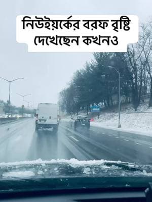 নিউইয়র্কের বরফ বৃষ্টি দেখেছেন কখনও #icey #icerain #বরফ #rainyday #newyork #usa 