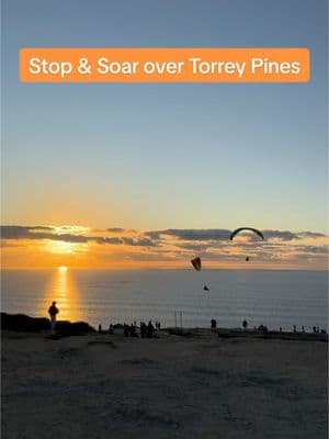 It's in the little moments. 🪂 . #visitsd #visitsandiego #sandiegotravel #torreypinesgliderport #blissbreak #paraglidinglife 