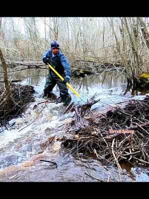 Tons Of Water! || Beaver Dam Removal! #beaverdamremoval #beaverdam #damremoval #beavers #dam #drain #draining #water #unclogging #terrellspivey #fypシ゚ #foryoupageシ #foryou #viralreels #viralvideo #viralpost #foryoupageofficiall #fyp #motherbeaverdam2  #fyppppppppppppppppppppppp #tiktok #tiktokreels #shorts #tiktokvideos #viraltiktokvideo #tiktokviral 