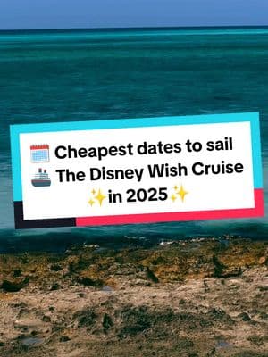 Want to sail the seas in 2025 or 2026 on a magical Disney Cruise? My planning services are FREE! ✨ #disneycruiseplanner #disneyvacationplanner #disneycruise #waltdisneyworld #disneywishcruise #disneycruisetips #apairofearstravelwithdaniella #disneycruiseline #cruise #disneytravelagent #disneyplanner #disneycruisetour #apairofearstravelwithdaniella #disneydestiny 