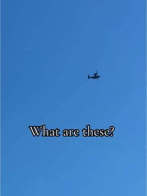 #whatarethese #whataretheydoing #INeedAnswers #Georgia #Jan1st #2025 #skywatcher #LOOKUP 