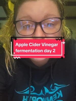 Day 2 of the fermenting process (I am making my own Apple Cider Vinegar) #niftynik #applecidervinegar #homemadeapplecidervinegar #acv #homemadeacv #learningnewthings #itsnotthathard #comewithme #arielwa #arielwashington #washingtonstate #pnw #asecretsociety🍑 #asecretsociety 