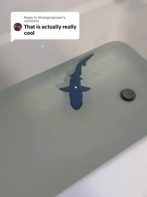 Replying to @Strangerpixaxe this remote control shark is the perfect bath time toy!🦈 #sharktoy #shark #bath #bathtime #bathtoy #bathtoys #toys #remotecontroltoy #remotecontrol #tiktokshopfinds 