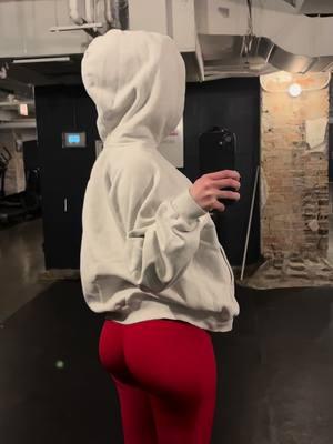 #chicagogirl #chicago #chicagoinfluencer #dimlchicago #Vlog #coldweatherchicago #gymgirl #chicagogyms #chicagogym #chicagostyle #chicagodayinmylife 