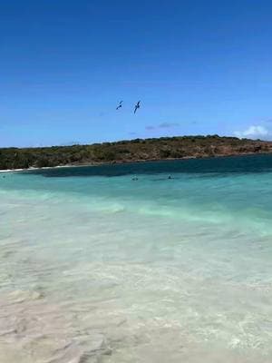 #CapCut #puertorico #praia #praiana #bikini #sun #sol #lindo #prettyviews #niceplace #quelindo #fyp 