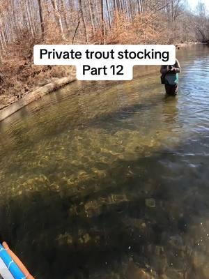 Sticking a huge rainbow into a sick hole. I’m sure a flyfisher will be pleasantly surprised to hook into this one. #flyfishing #troutstocking #stockingtrout #flyfisher #flyfishingtrout #rainbowtrout #fishing #rainbowtroutfishing #troutfly #fishermen #fisherman #fishingtiktoks #flyfishonly 