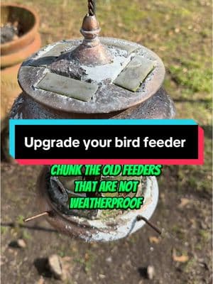 Do not let your bird feeder get out of hand like mine did! Upgrade with this one! ☝️ #Kingsyard #BirdFeeder #Outdoors ##BackyardBirds #Birdwatching #FeatheredFriends #WildlifeLovers #NatureLover #BirdFeederLife #GardenVibes #OutdoorLiving #BackyardBliss #BirdLover #BirdsOfInstagram