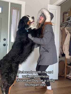 I was really going for the gray on gray, on gray look!  #bmd #goodboy #berner #bernesemountaindog #bernesepuppy #willard #goodboywillard #pup #dogsoftiktok #doglover #dog #dogs 