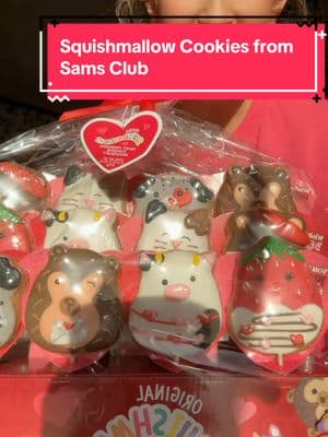 #squishmallows #squishmallow #ValentinesDay #squishmallowcookies #sams #samsclub #samsclubcookies 