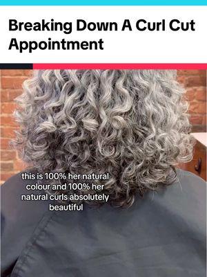 Breaking down a new guest curly cut and styling appointment from a few years ago. #curlyhair #curlcut #curlspecialist #curlyhairtutorial #hairstylistsoftiktok #ohiohairstylist  