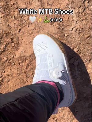 Feels like a crime to wear them in the desert but the vibe is too good 😤❤️‍🔥  #mtbgirl #mountainbike #newshoes #adidas #bikes #fiveten 