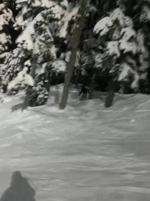 Night ski shi #snow #snowbaord #snowbaording #snowday #nightski #Outdoors #outdoor #mountainsview #mountain #pnw #pnwlife #sunset 