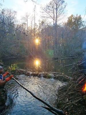 The Beaver Heard Us! 😮 || Beaver Dam Removal! #beaverdamremoval  #beaverdam #downstreamculvert #fire #burn #burning #damremoval #beavers #dam #drain #draining #water #unclogging #terrellspivey #fypシ゚ #foryoupageシ #foryou #viralreels #viralvideo #foryoupageofficiall #fyp #fyppppppppppppppppppppppp #tiktok #tiktokreels #shorts #tiktokvideos #viraltiktokvideo