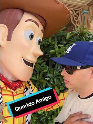 De que yo sufro por un amor traicionero… 💔❤️‍🩹 #endisneylandia #disneylandia #🇲🇽 #🇲🇽🏰 #queridoamigo #saulviera #corridos #woody 