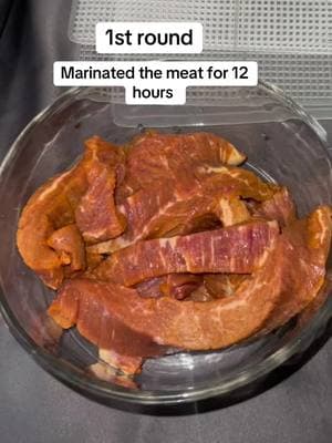 😅 #dehydrate #jerky #foodtiktok  #meat #dehydratewithlishaa 