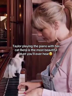 Deserves a grammy #taylorswift #catsoftiktok #swifties #tswift #erastour #catlover #swifttok #taylorswiftedit #theerastour #cats 