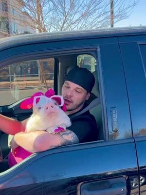 Just my little pig-ster, Daisy, doin’ her thang 😆❤️🐽 @marcus_tinsley_ @jaceytinsley  #animalsoftiktok #foryoupage #drivethru #reaction #pigs 