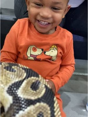 Super cuteness overload! 🥰 At only 1 year old, he’s the youngest person at this evening’s Parent University at Anita White Carson Middle School! Start them young facing their fears and trying new things! 🥳🐍💚 #scalyadventures #positivecharactereducation #tanyacurren #rickcurren #bubblesthesnake #ballpython #snakes #reptiles #scalyfriends 