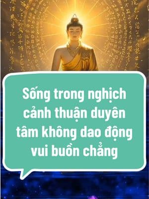 Sống trong nghịch cảnh thuận duyên tâm không dao động vui buồn chẳng✨❤️‍🩹🙏 #tâmlinh #tichphuccaimenh #adidaphat #phậttạitâm #followers➕ #tu #xuhuongtiktok #cuộcsống #tâmlinh #buddhateachings 