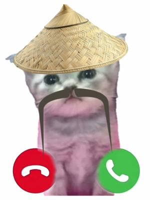 Why u no pick up yo phone? #phone #phonecall #yourphonelinging #pickup #answer #cat #call 