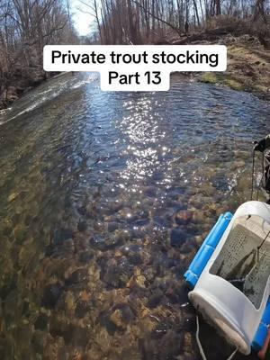 This guy is lucky. Fishing while we are stocking. #stockingtrout #troutstocking #flyfishing #flyfishingtrout #flyfisher #rainbowtrout #fishing #rainbowtroutfishing #troutfly #fisherman #fishermen #stockedtrout #browntroutfishing #flyfishdelawhere 