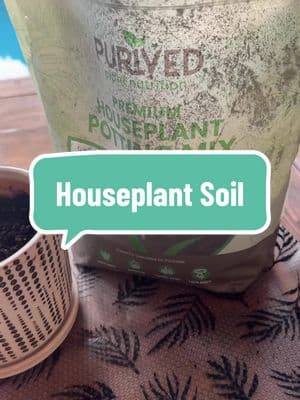 It’s so important to keep it simple otherwise we get overwhelmed and end up doing nothing #houseplants #houseplantsoftiktok #houseplantsoil #pothos #purivedhouseplantfood #purivedplantfood #beginnerplants 