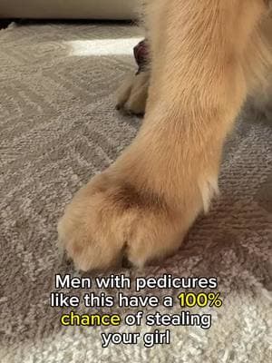 It’s true you know #pedicure #dogpaws 