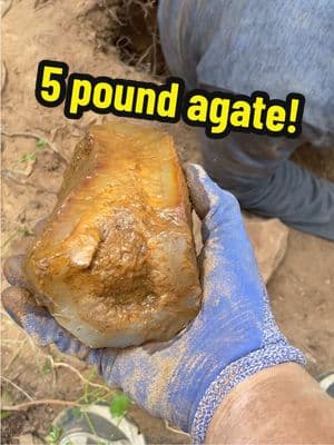 5 pound agate! Fun find from Red Top Mountain! #agate #large #rockhound #rockhounding #crystals #rocktok #digging #washington #discover #explore #find #Outdoors #nature #collect #rockcollection #coolrocks