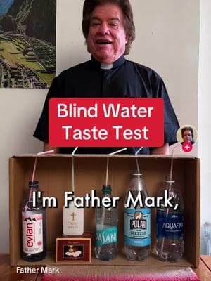 This crazy priest is my new favorite TikTok account #sketch #comedy #satire #virtualreality 