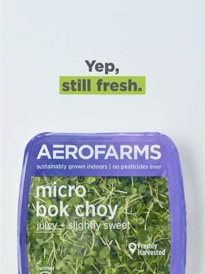 AeroFarms microgreens stay fresher longer than others, thanks to our package design and growing methods. #pesticidefree #microgreens 