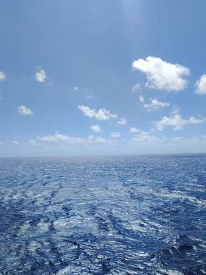 I'm in the middle of the Atlantic Ocean on my 1st cruise ever. 7 days out to sea.... it was amazing #thepurplepattyexperience #purplepatty #ocean #oceanview #daddysbaby #hewilldoanythingforme #travelprenuer #StThomas #ambercovedomincanrepublic #oldsanjuanpuertorico #cruise #cruiseship #carnival #carnivalcruise #carnivalcelebration arnivalcelebration