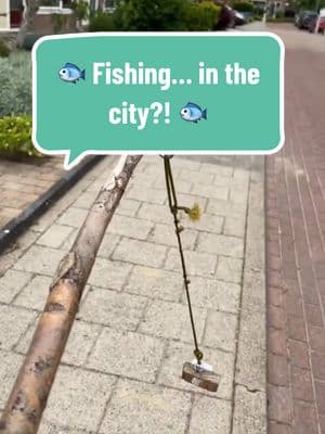 🐟 There’s nothing fishy about this geocache! 🐟 Would you catch this cache? 🎣 🎥: gc.rogier.geovlogs. #geocaching #geocache #GeoTok #foryou #fyp