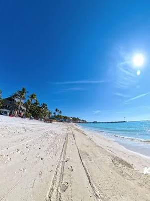 Loving these sunny winter days 🌞 #keywest #keywestflorida #floridakeysvacation #islandlife #february #wintervibes #sunshine #floridakeys #beautifuldestinations #thefloridakeys #visitkeywest #thingstodoinkeywest #youshouldbehere #experiencekeywest