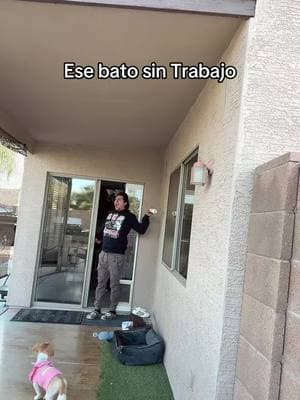 Buenos dias ##parati##fypシ##mexican##strike##nowork##notrabajo##enlacasa##Home##nojob##funnyvideos