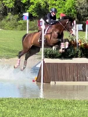 low quality videos, the highest quality King #vetstudent #vetstudentlife #equestrian #eventing #eventer #jumper #horsesoftiktok #equestriansports #3dayeventing #equestrians #equinesportsmed #equinevetmed #horsegirl 