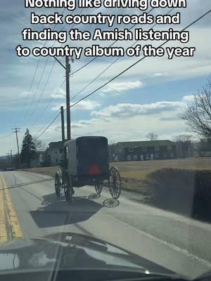 It’s really giving country vibes 🤠 #amish #country #countryalbumoftheyear 